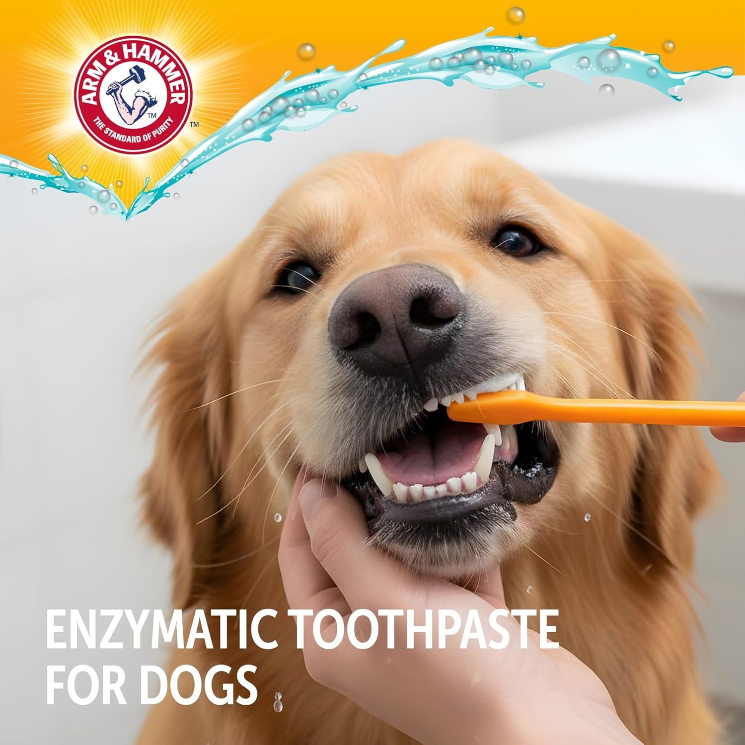 image:imageArm amp Hammer Complete Care Dog Dental Kit Enzymatic Toothpaste 25 OZ Chicken Flavor Toothbrush Finger Brush Tartar Baking Soda FormulaDog Chicken