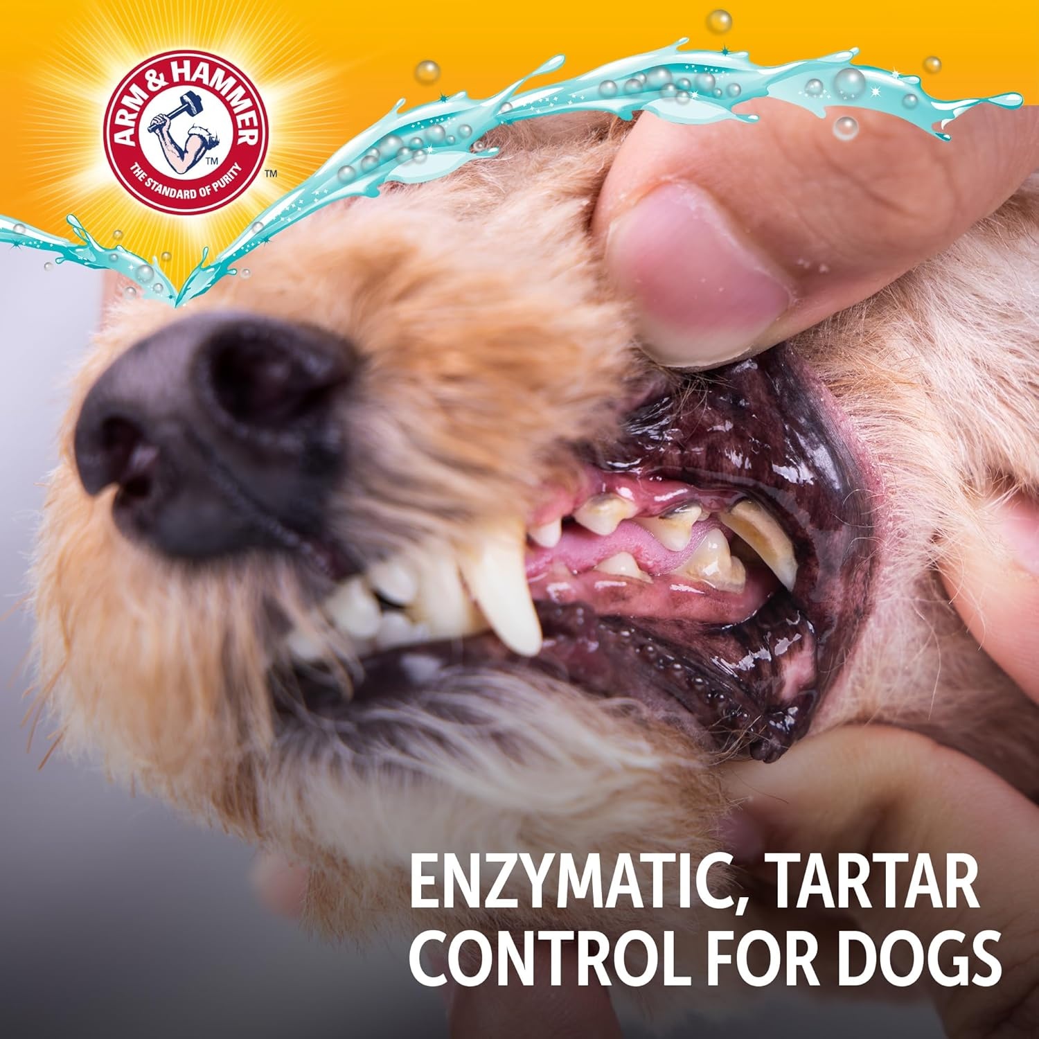 image:imageArm amp Hammer Complete Care Dog Dental Kit Enzymatic Toothpaste 25 OZ Chicken Flavor Toothbrush Finger Brush Tartar Baking Soda FormulaDog Chicken