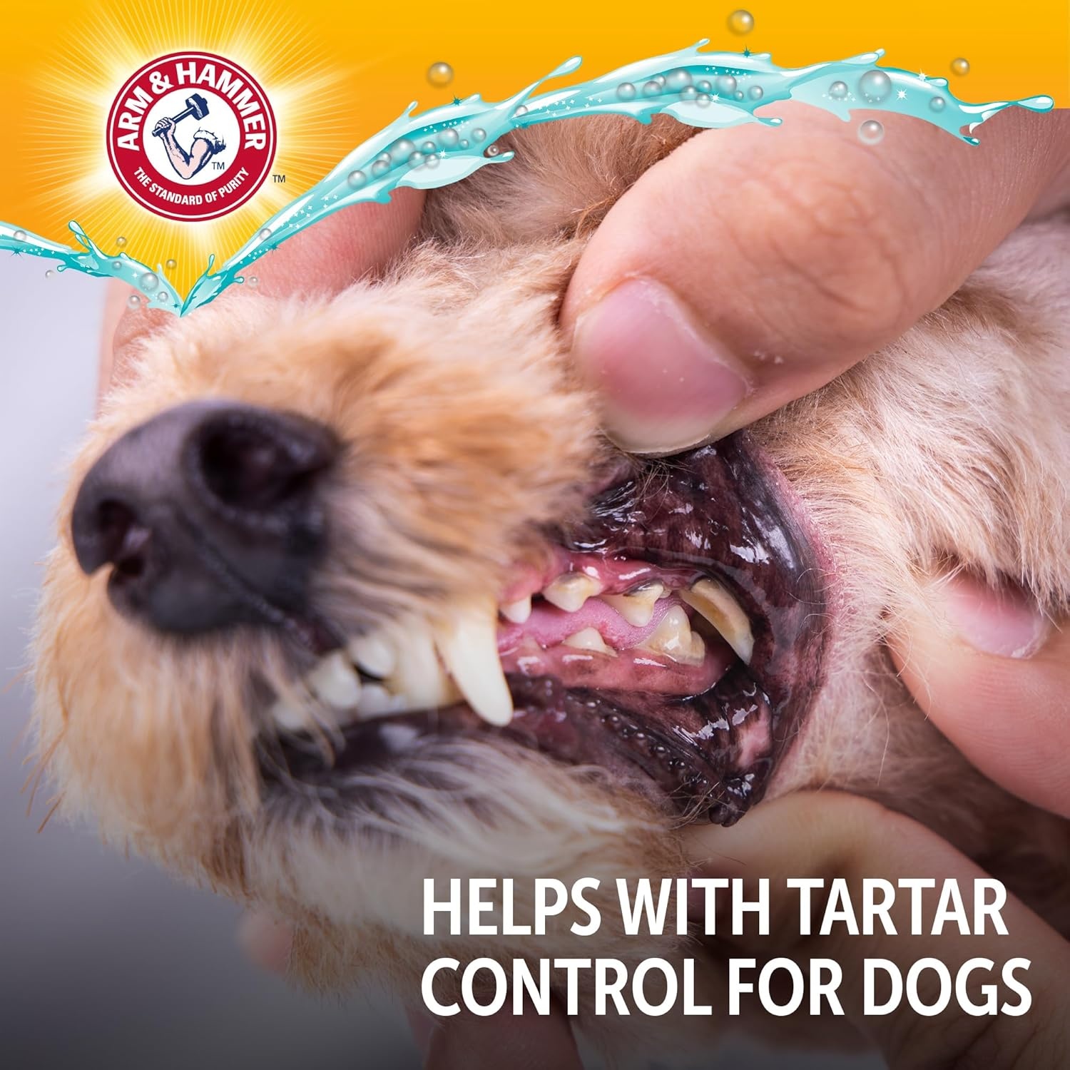 image:imageArm amp Hammer Complete Care Dog Dental Spray Mint Flavor Brushless Dog Breath Freshener with Baking Soda and Calcium for Tooth Enamel Support FluorideFree 6 Fl OzClear