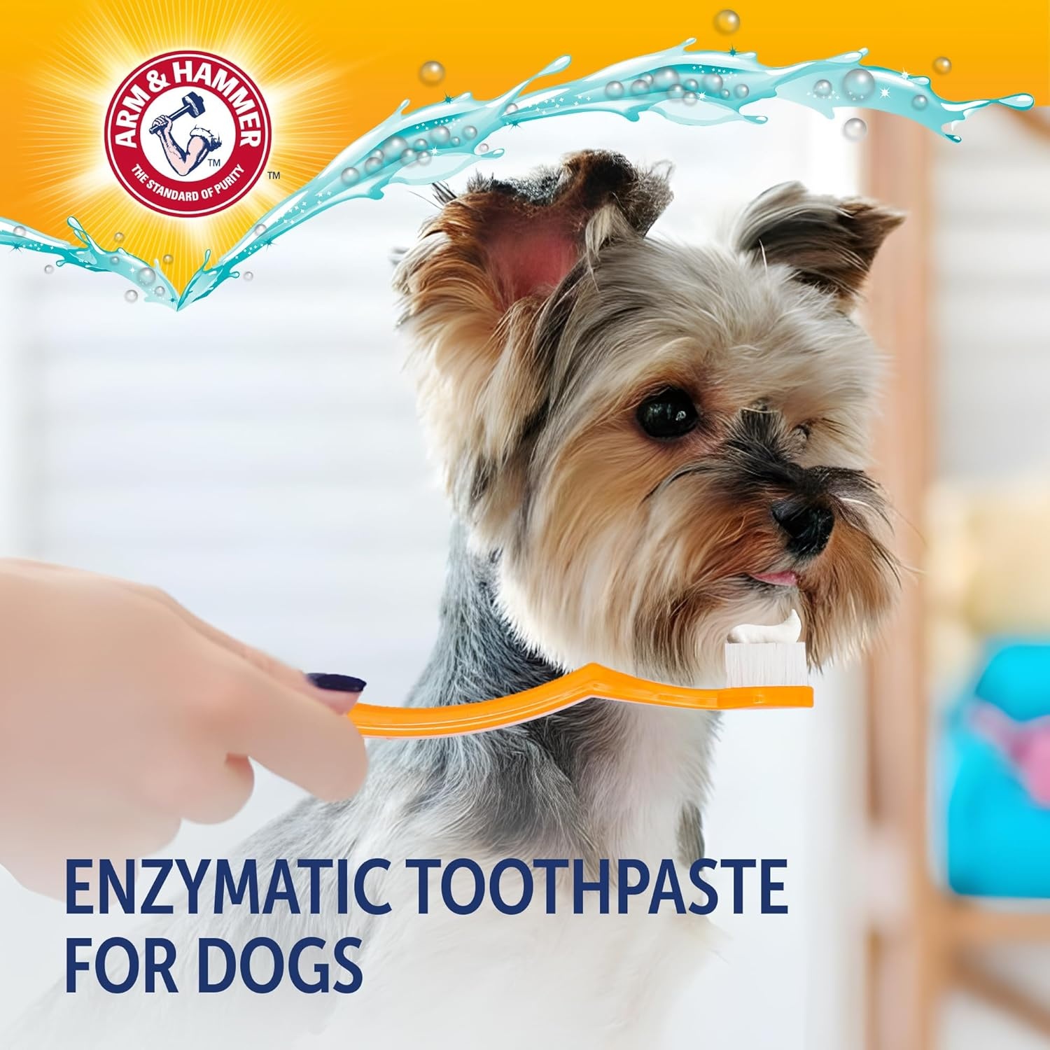 image:imageArm amp Hammer Complete Care Enzymatic Dog Toothpaste Peanut Butter Flavor Baking Soda and Calcium Enzymatic Tartar Control Formula NonToxic Fluoride Free 62 OzPeanut Butter