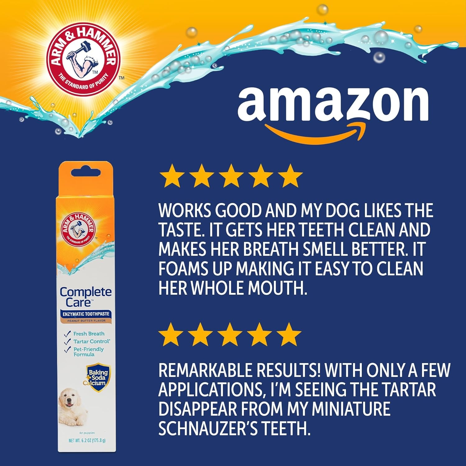 image:imageArm amp Hammer Complete Care Enzymatic Dog Toothpaste Peanut Butter Flavor Baking Soda and Calcium Enzymatic Tartar Control Formula NonToxic Fluoride Free 62 OzPeanut Butter