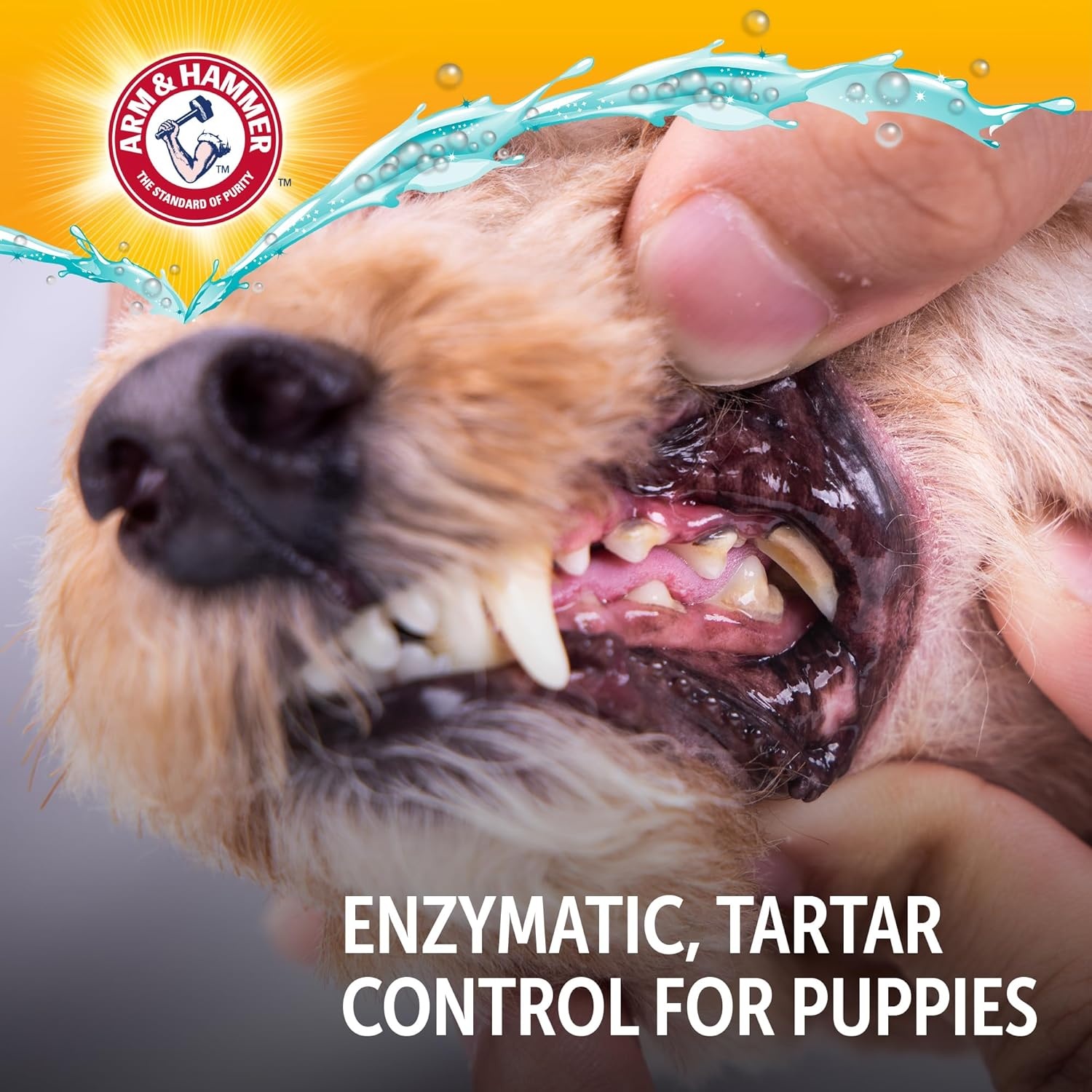 image:imageArm amp Hammer Complete Care Enzymatic Dog Toothpaste Peanut Butter Flavor Baking Soda and Calcium Enzymatic Tartar Control Formula NonToxic Fluoride Free 62 OzPeanut Butter