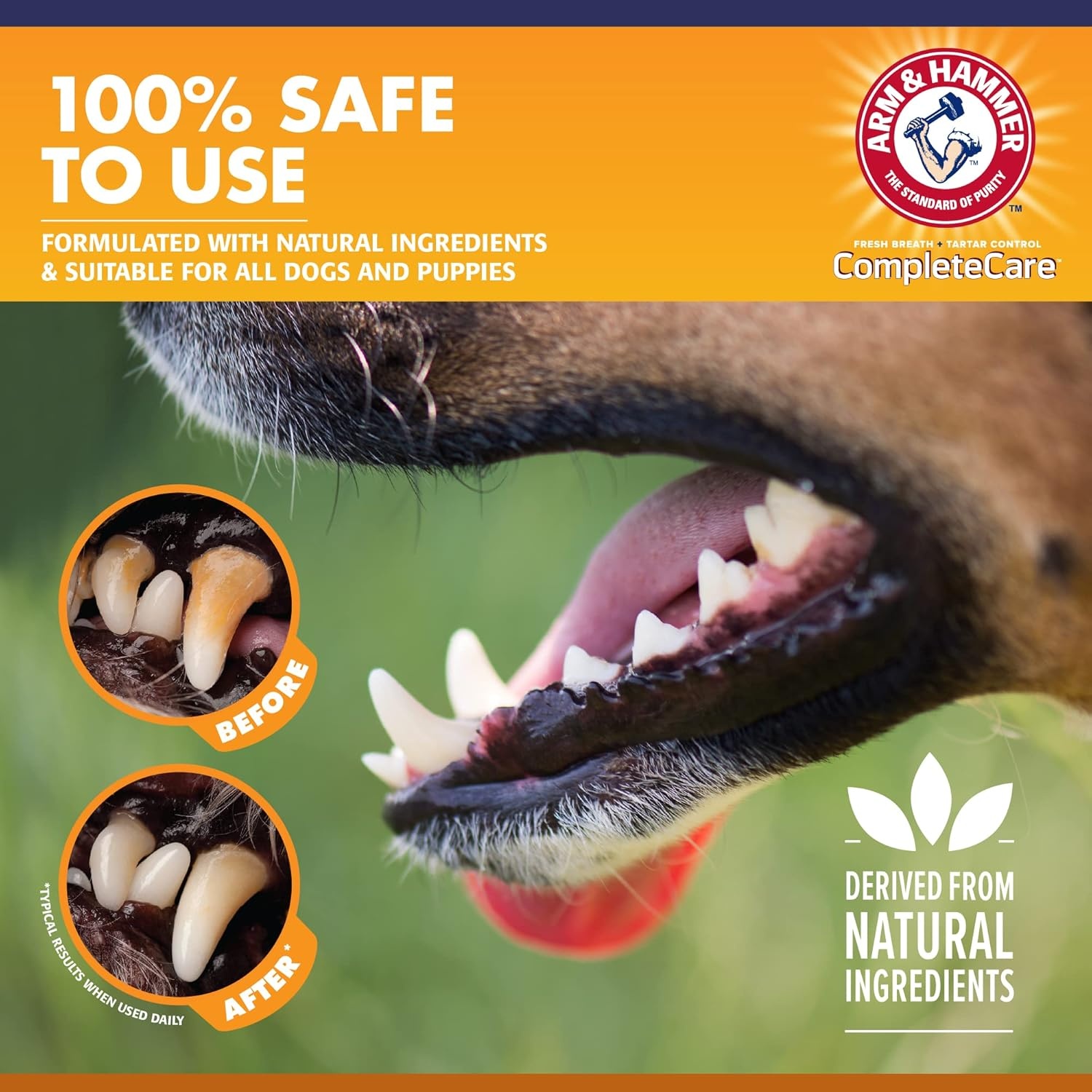 image:imageArm amp Hammer Complete Care Enzymatic Dog Toothpaste Peanut Butter Flavor Baking Soda and Calcium Enzymatic Tartar Control Formula NonToxic Fluoride Free 62 OzPeanut Butter