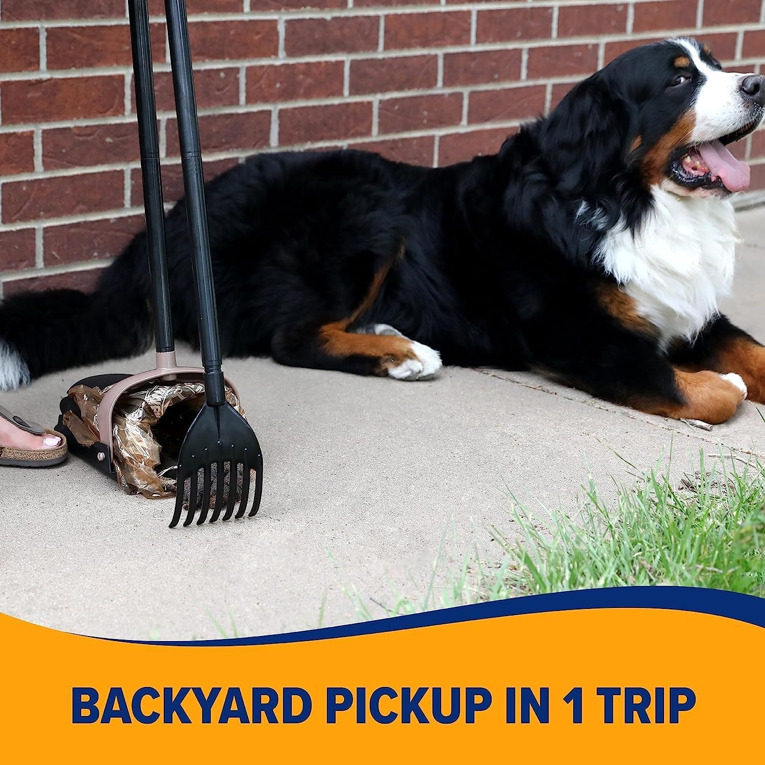 image:imageArm amp Hammer Dog Pooper Scooper Swivel Bin amp Rake Poop Scoop for Dogs Black 2 Heavy Duty Scented Waste Bags IncludedOne Size