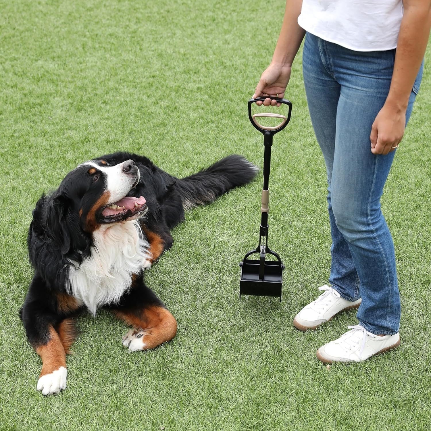 image:imageArm amp Hammer Dog Pooper Scooper Swivel Bin amp Rake Poop Scoop for Dogs Black 2 Heavy Duty Scented Waste Bags IncludedOne Size