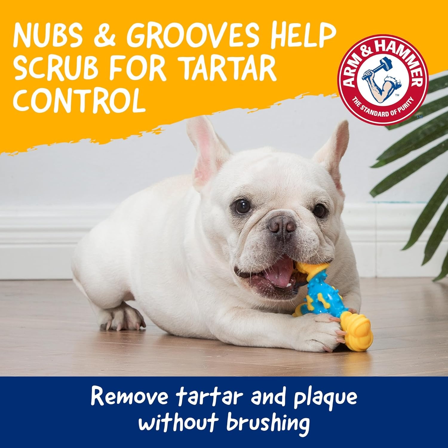 image:imageArm amp Hammer Nubbies Duality Bone Dog Dental Chew Toy Green Apple Flavor Baking Soda Infused Nubby Grooves Reduce Plaque and Tartar No Stuffing for Moderate ChewersBlue Yellow