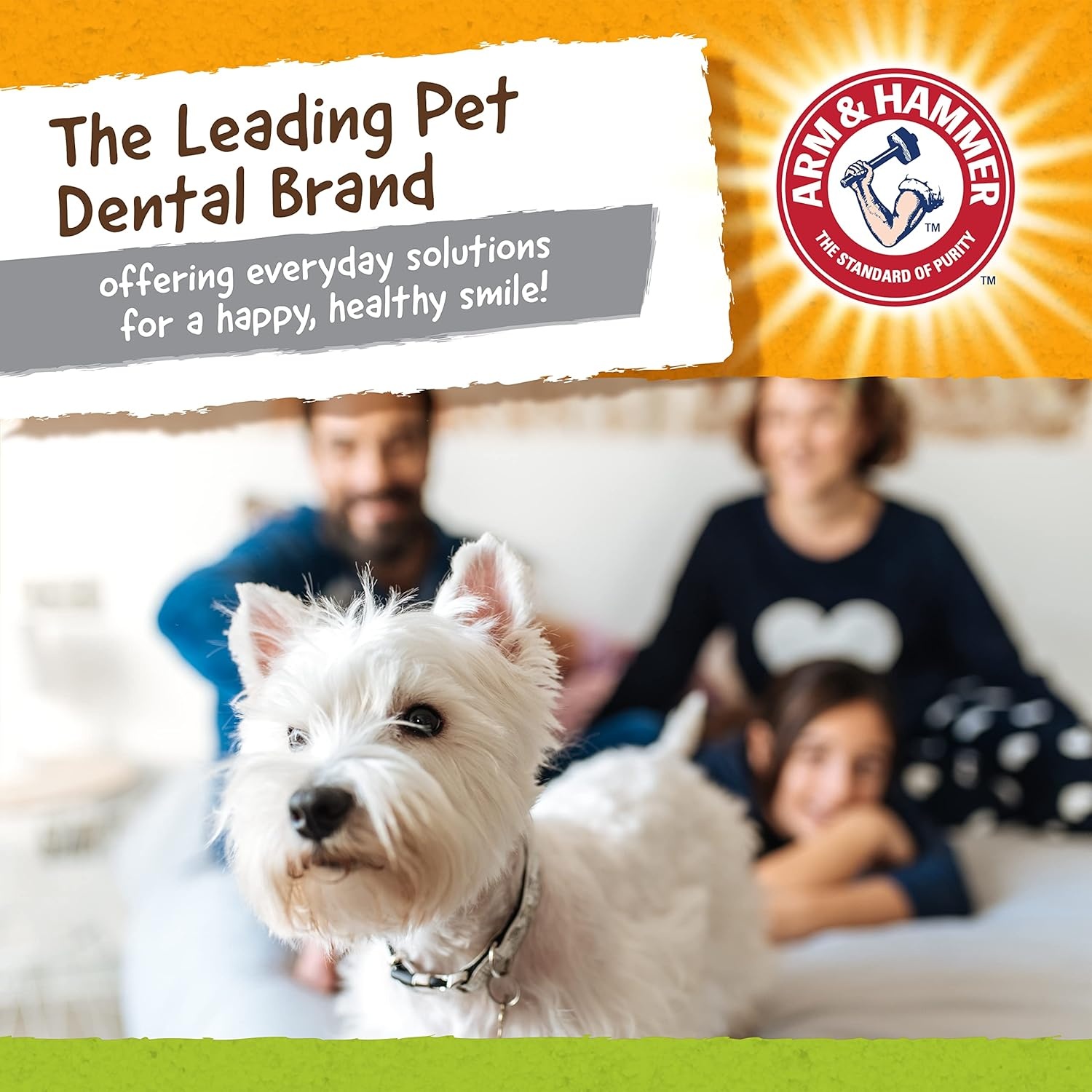 image:imageArm amp Hammer Nubbies Duality Bone Dog Dental Chew Toy Green Apple Flavor Baking Soda Infused Nubby Grooves Reduce Plaque and Tartar No Stuffing for Moderate ChewersBlue Green