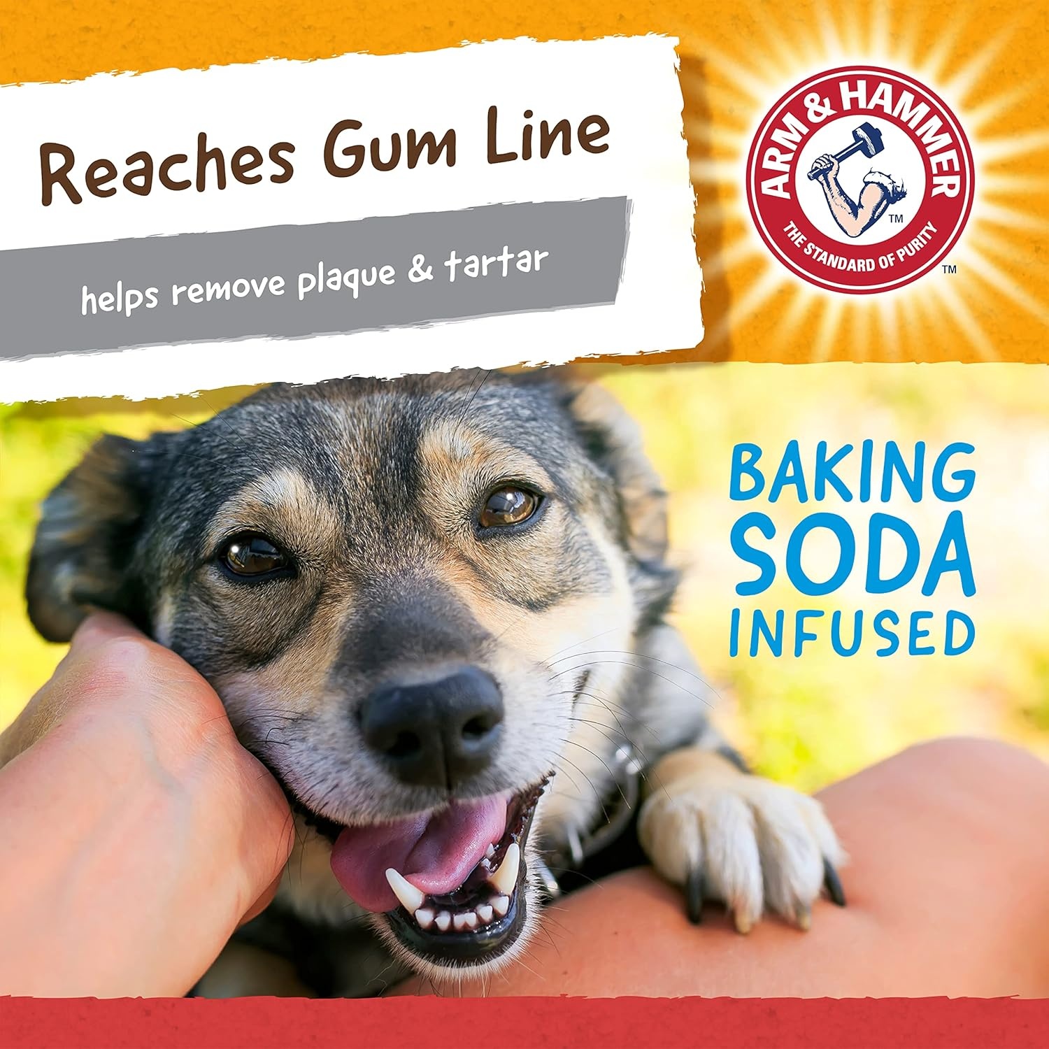image:imageArm amp Hammer Nubbies Duality Bone Dog Dental Chew Toy Green Apple Flavor Baking Soda Infused Nubby Grooves Reduce Plaque and Tartar No Stuffing for Moderate ChewersBlue Red