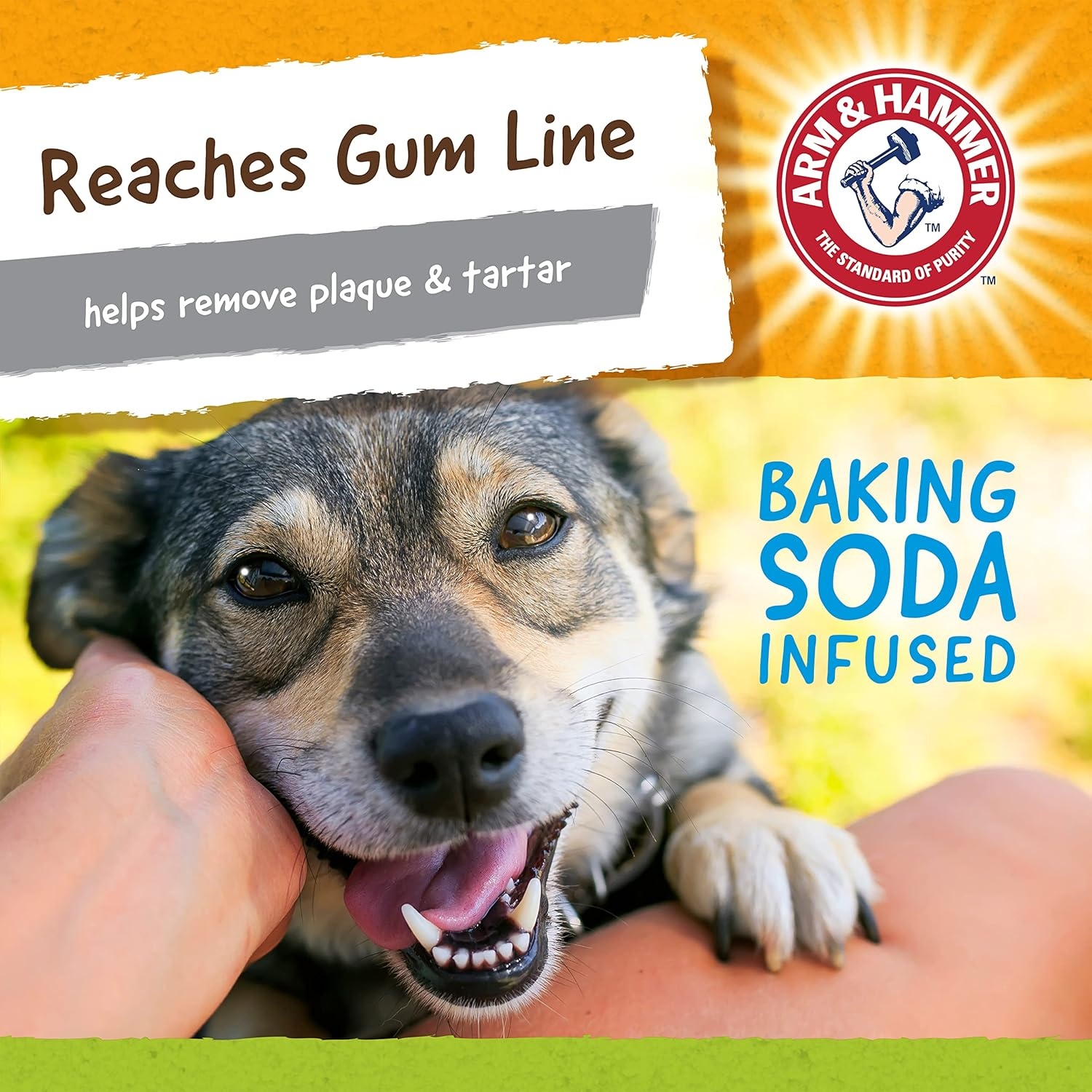 image:imageArm amp Hammer Nubbies Duality Bone Dog Dental Chew Toy Green Apple Flavor Baking Soda Infused Nubby Grooves Reduce Plaque and Tartar No Stuffing for Moderate ChewersBlue Green