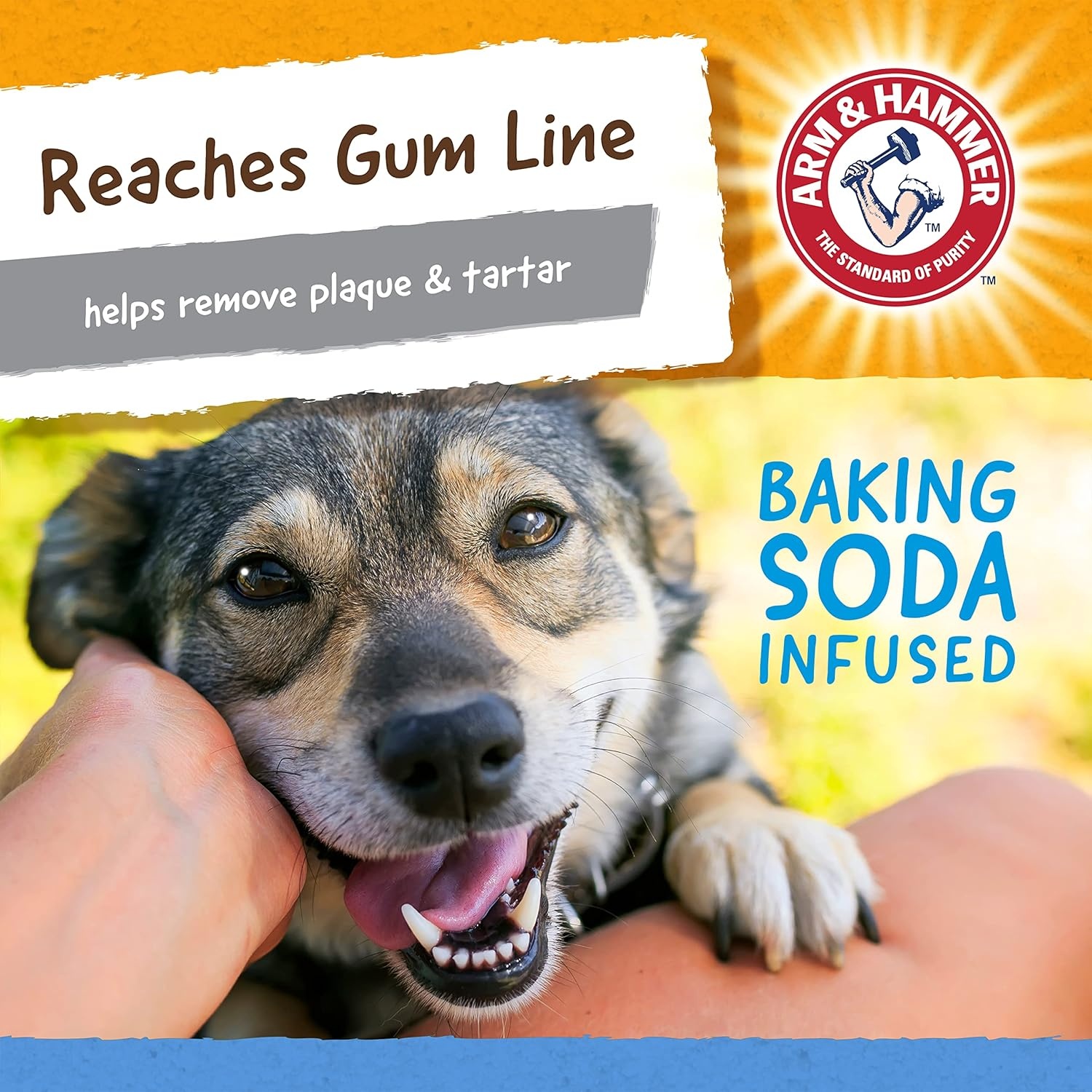 image:imageArm amp Hammer Nubbies Duality Bone Dog Dental Chew Toy Green Apple Flavor Baking Soda Infused Nubby Grooves Reduce Plaque and Tartar No Stuffing for Moderate ChewersBlue Yellow