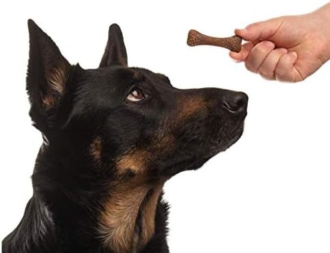 image:imageArm amp Hammer for Pets Nubbies Dental Treats Value Size Baking Soda amp Calcium Dog Dental Chews Helps Scrub Plaque amp Tartar While Chewing Peanut Butter Flavor 139 Count 528 Oz 6 PackChicken