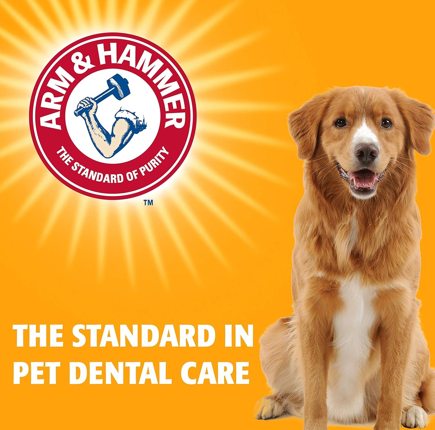 image:imageArm amp Hammer for Pets Nubbies Dental Treats Value Size Baking Soda amp Calcium Dog Dental Chews Helps Scrub Plaque amp Tartar While Chewing Peanut Butter Flavor 139 Count 528 Oz 6 PackChicken