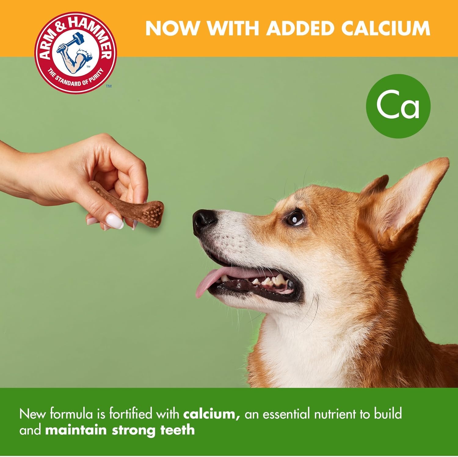 image:imageArm amp Hammer for Pets Nubbies Dental Treats Value Size Baking Soda amp Calcium Dog Dental Chews Helps Scrub Plaque amp Tartar While Chewing Peanut Butter Flavor 139 Count 528 Oz 6 PackPeanut Butter