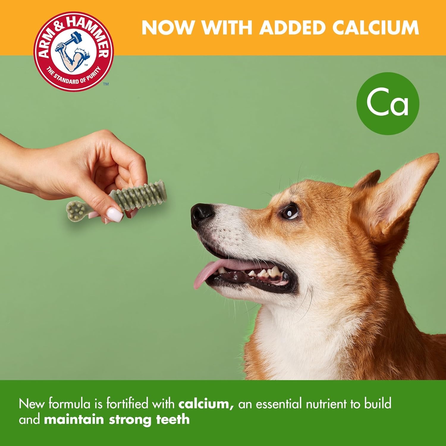 image:imageArm amp Hammer for Pets Nubbies Dental Treats Value Size Baking Soda amp Calcium Dog Dental Chews Helps Scrub Plaque amp Tartar While Chewing Peanut Butter Flavor 139 Count 528 Oz 6 PackMint