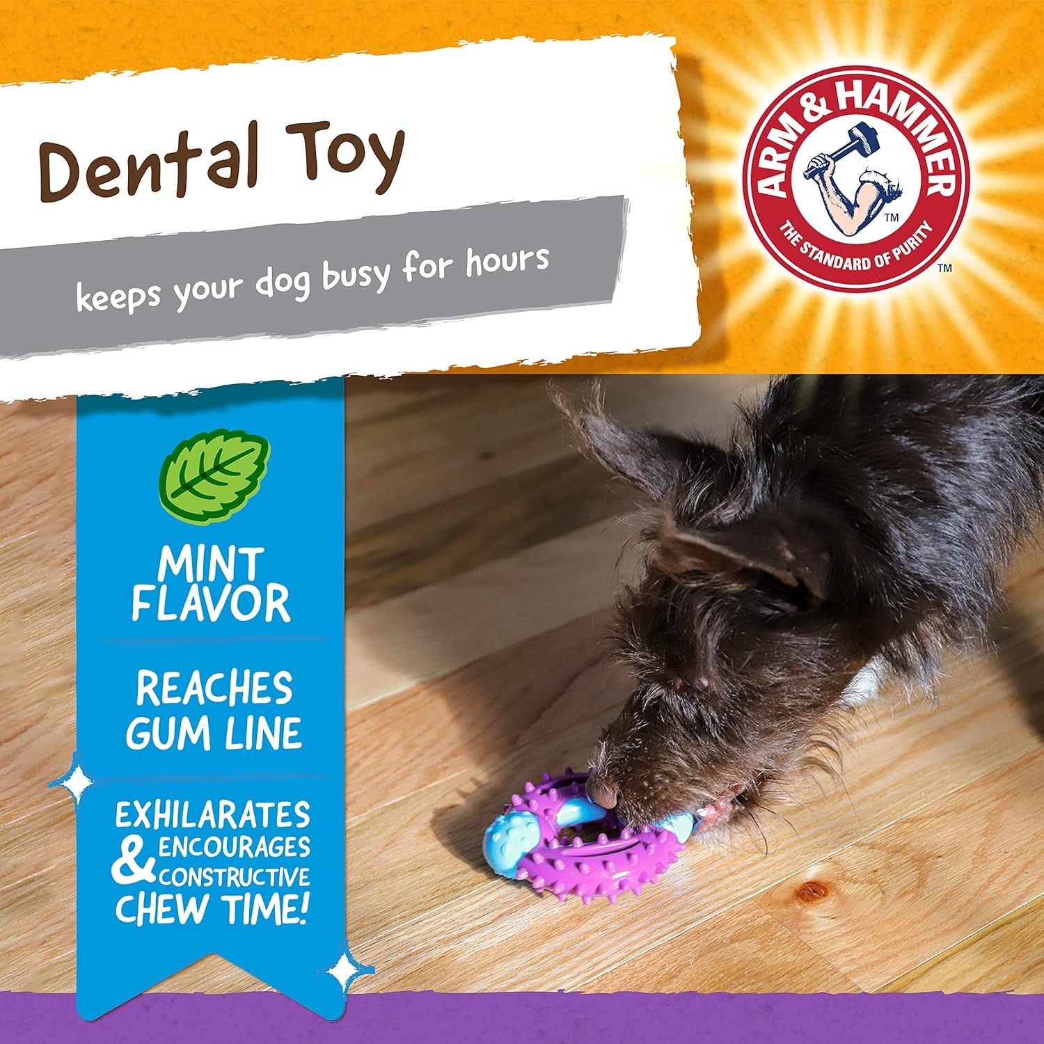 image:imageArm amp Hammer for Pets Nubbies Orion Dog Dental Toy Best Dog Chew Toy for Moderate Chewers Dog Dental Toy Helps Reduce Plaque amp Tartar Without Brushing Mint Flavor 24 PackPurple Blue