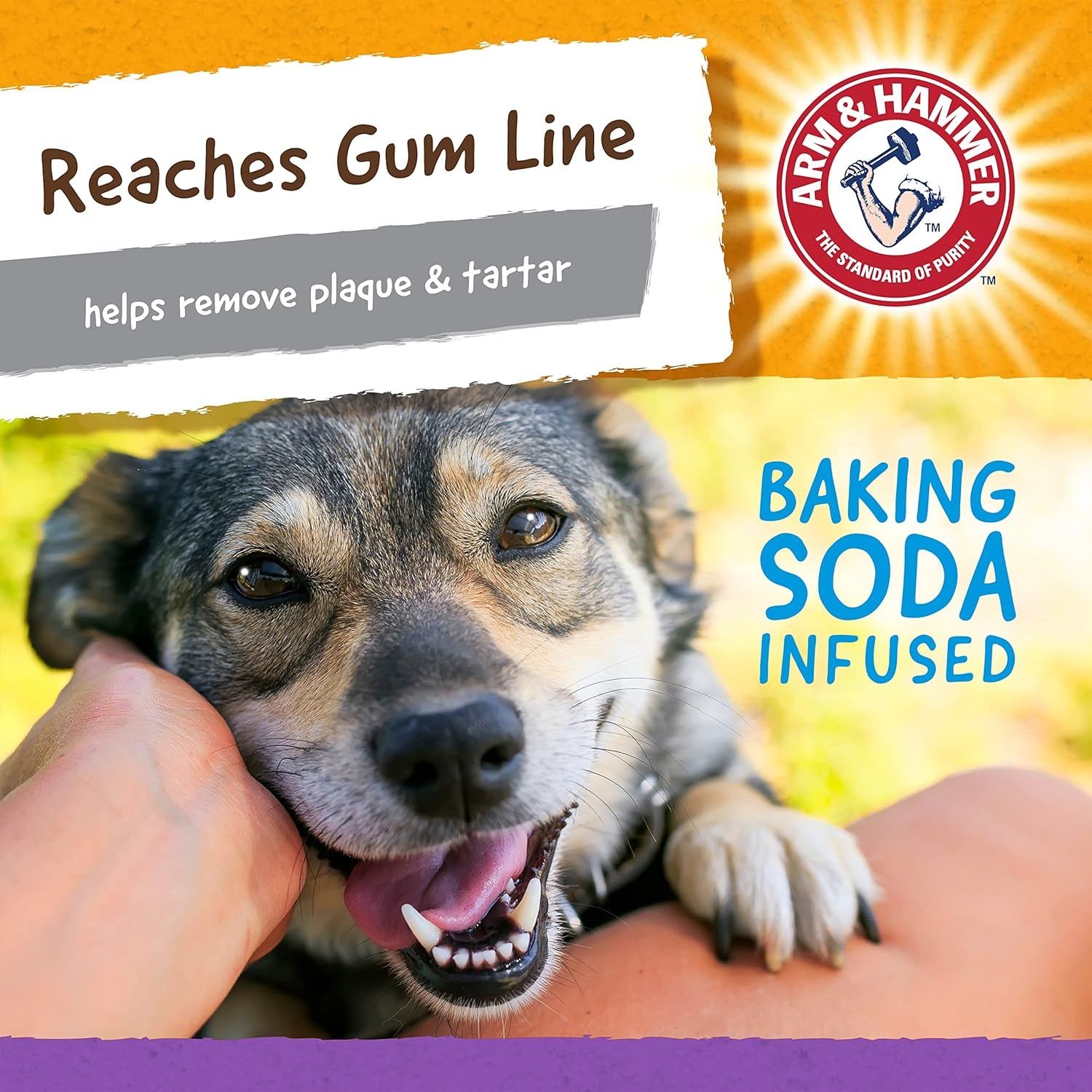 image:imageArm amp Hammer for Pets Nubbies Orion Dog Dental Toy Best Dog Chew Toy for Moderate Chewers Dog Dental Toy Helps Reduce Plaque amp Tartar Without Brushing Mint Flavor 24 PackPurple Blue