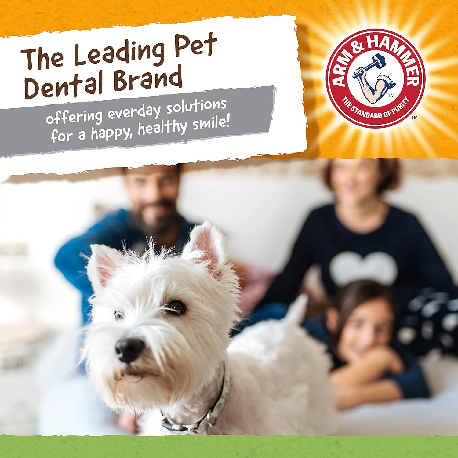 image:imageArm and Hammer for Pets Super Treadz Gator Dental Chew Toy for Dogs Reduces Plaque and Tartar Without Brushing Baking Soda Infused Dishwasher Safe Dogs Up to 35 LbsGator