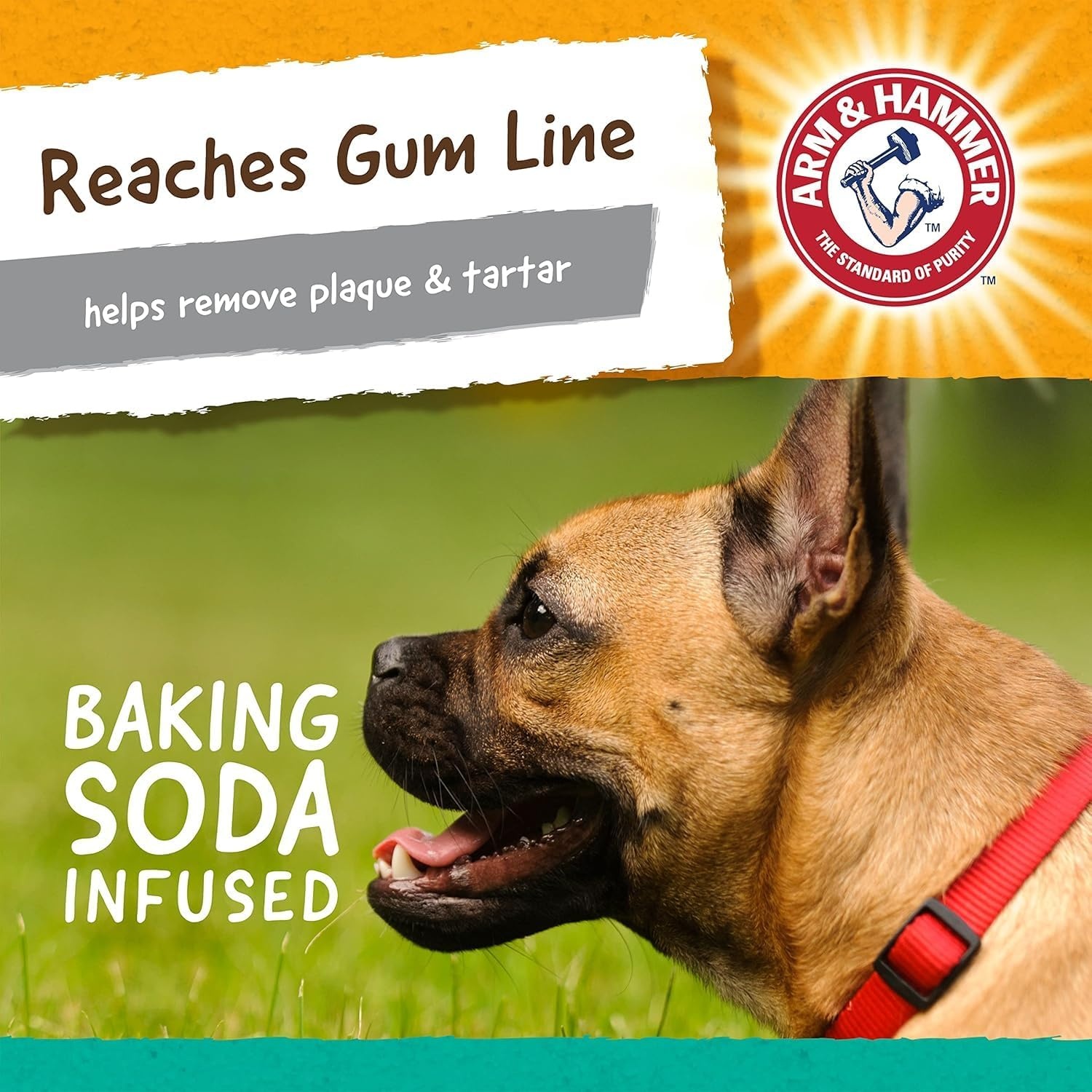 image:imageArm and Hammer for Pets Super Treadz Gator Dental Chew Toy for Dogs Reduces Plaque and Tartar Without Brushing Baking Soda Infused Dishwasher Safe Dogs Up to 35 LbsGorilla