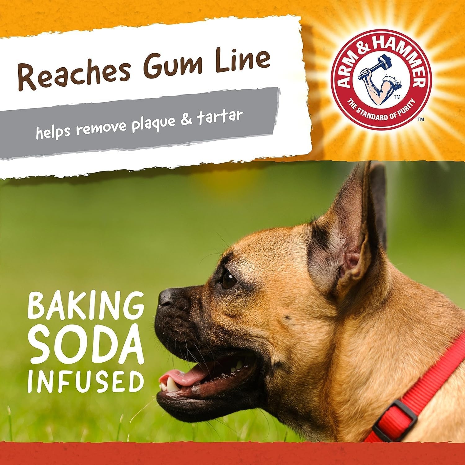 image:imageArm and Hammer for Pets Super Treadz Gator Dental Chew Toy for Dogs Reduces Plaque and Tartar Without Brushing Baking Soda Infused Dishwasher Safe Dogs Up to 35 LbsGorilla