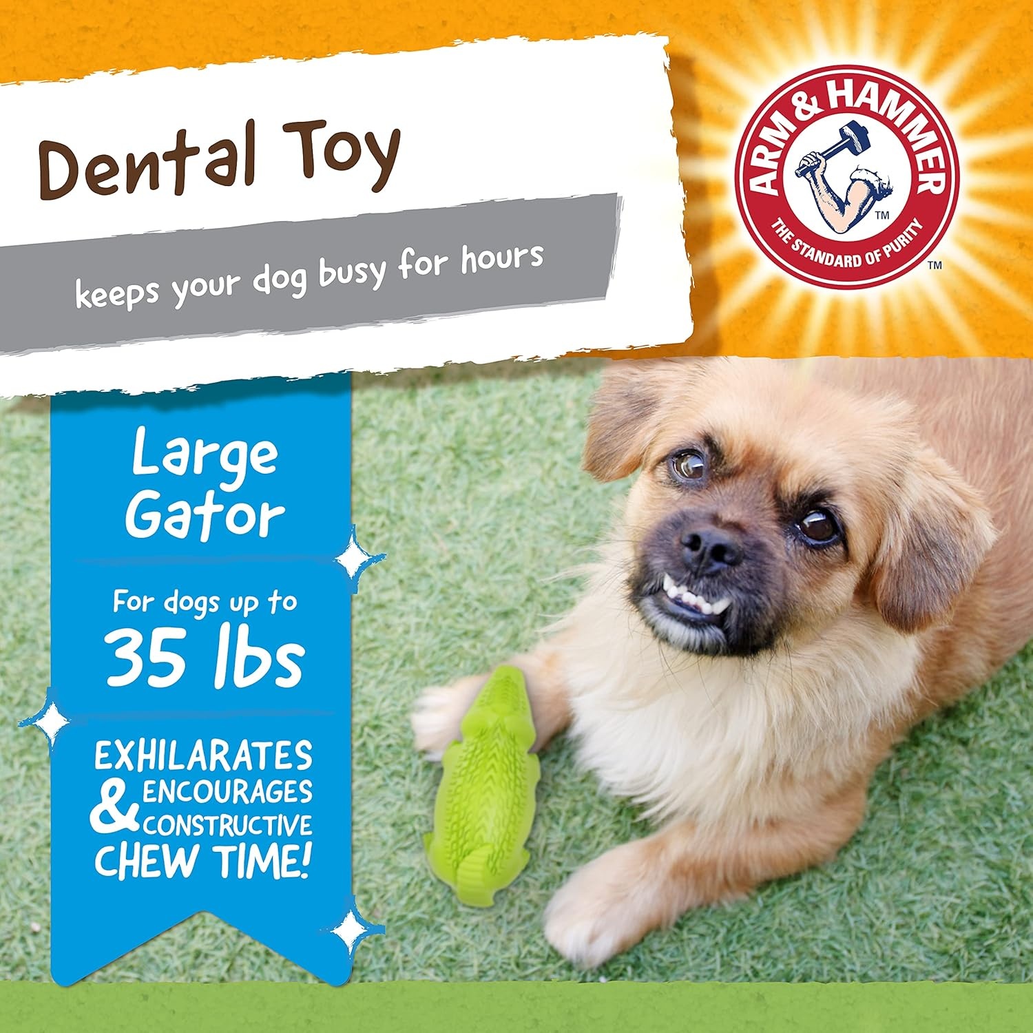 image:imageArm and Hammer for Pets Super Treadz Gator Dental Chew Toy for Dogs Reduces Plaque and Tartar Without Brushing Baking Soda Infused Dishwasher Safe Dogs Up to 35 LbsGator