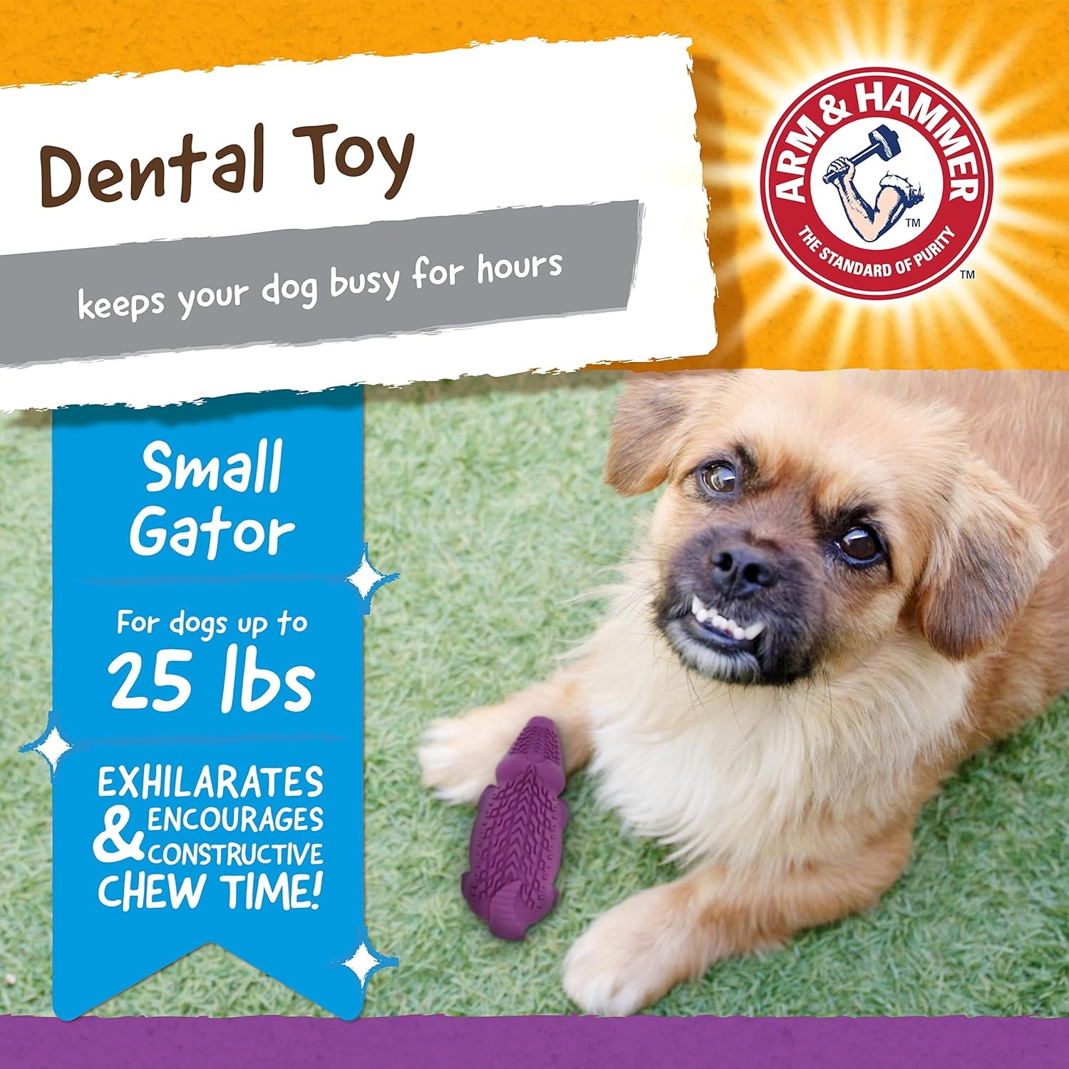 image:imageArm and Hammer for Pets Super Treadz Gator Dental Chew Toy for Dogs Reduces Plaque and Tartar Without Brushing Baking Soda Infused Dishwasher Safe Dogs Up to 35 LbsGator