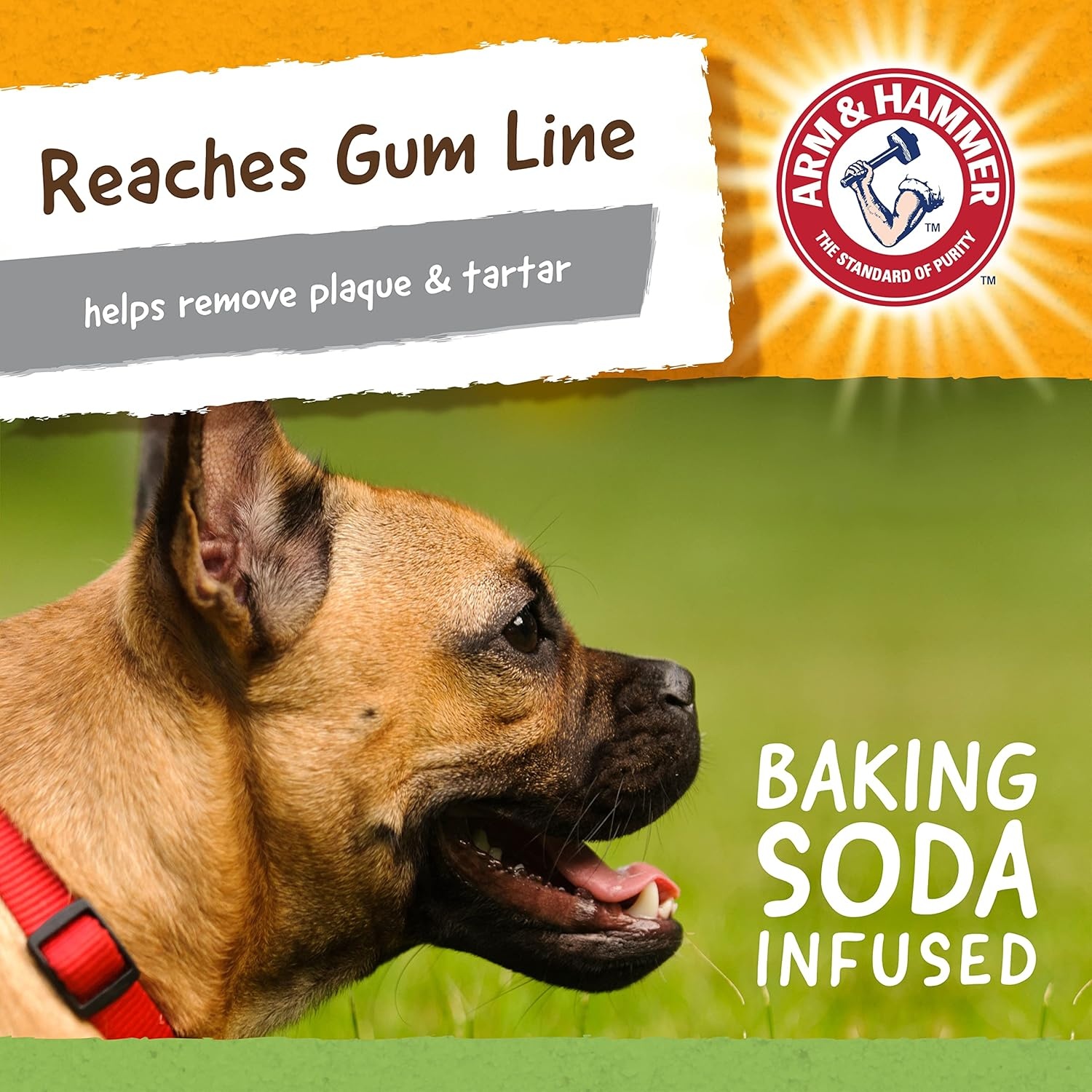 image:imageArm and Hammer for Pets Super Treadz Gator Dental Chew Toy for Dogs Reduces Plaque and Tartar Without Brushing Baking Soda Infused Dishwasher Safe Dogs Up to 35 LbsGator