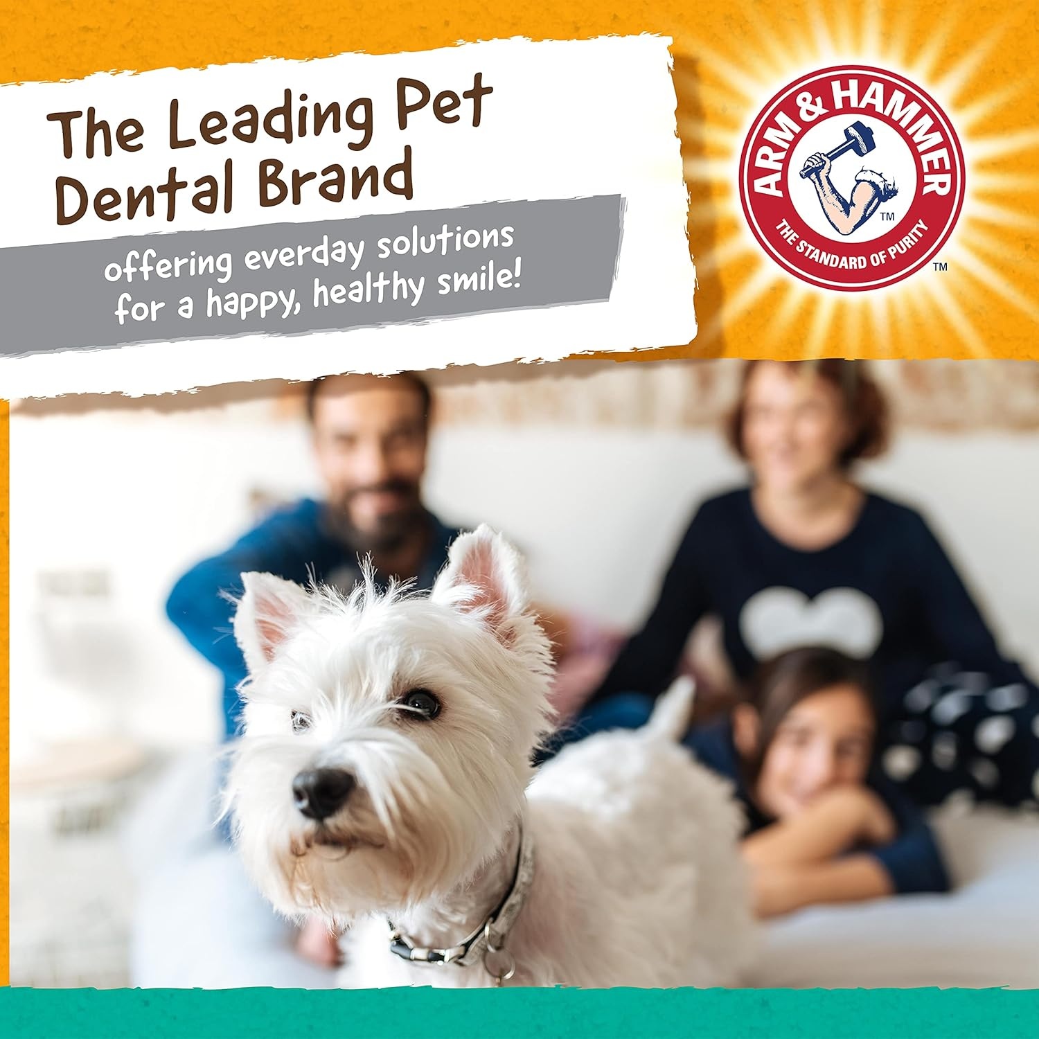 image:imageArm and Hammer for Pets Super Treadz Gator Dental Chew Toy for Dogs Reduces Plaque and Tartar Without Brushing Baking Soda Infused Dishwasher Safe Dogs Up to 35 LbsA Gorilla