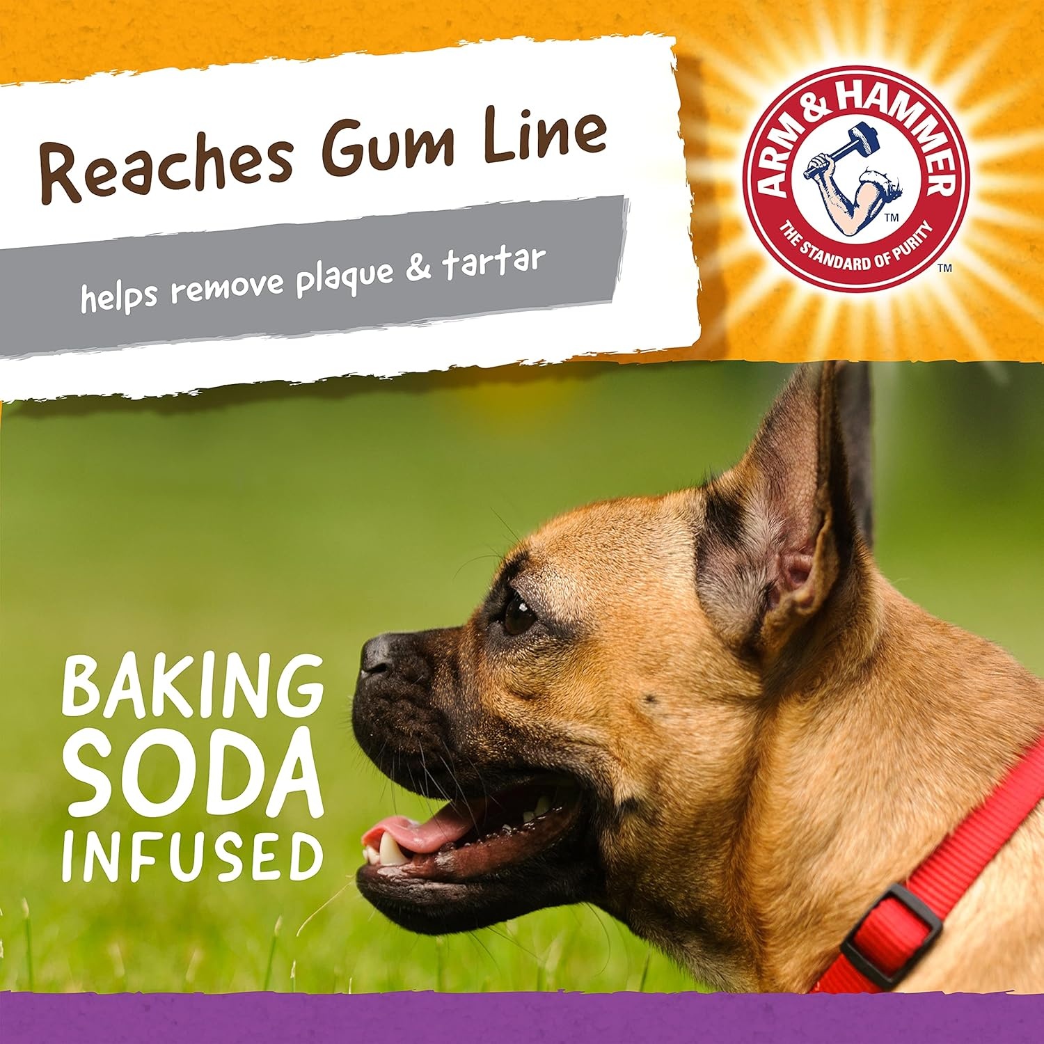 image:imageArm and Hammer for Pets Super Treadz Gator Dental Chew Toy for Dogs Reduces Plaque and Tartar Without Brushing Baking Soda Infused Dishwasher Safe Dogs Up to 35 LbsGator