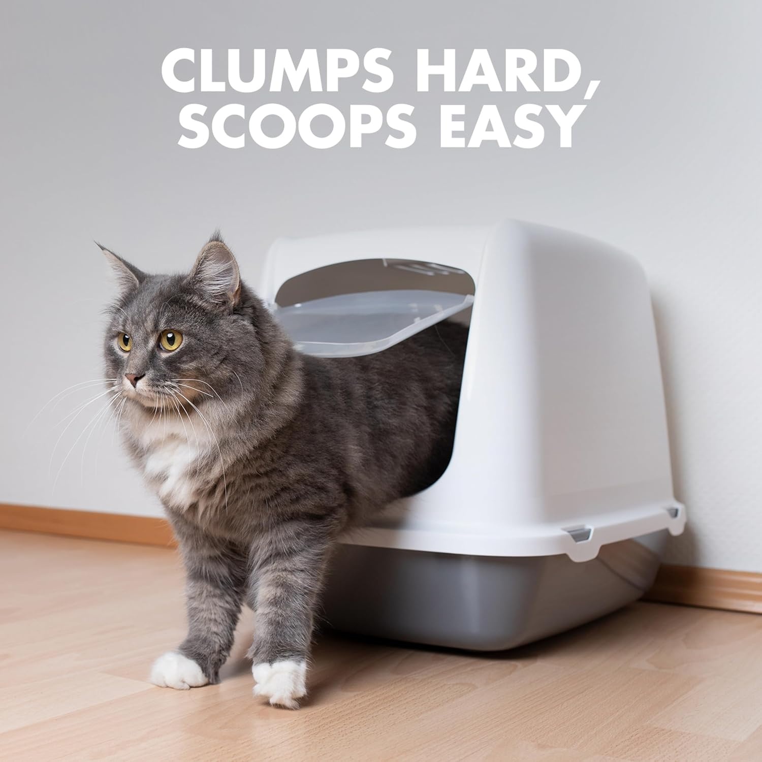 image:imageARM amp HAMMER Naturals Clumping Cat Litter Odor Control Multi Cat Litter 18 lb Bag18 Lbs Pack of 2