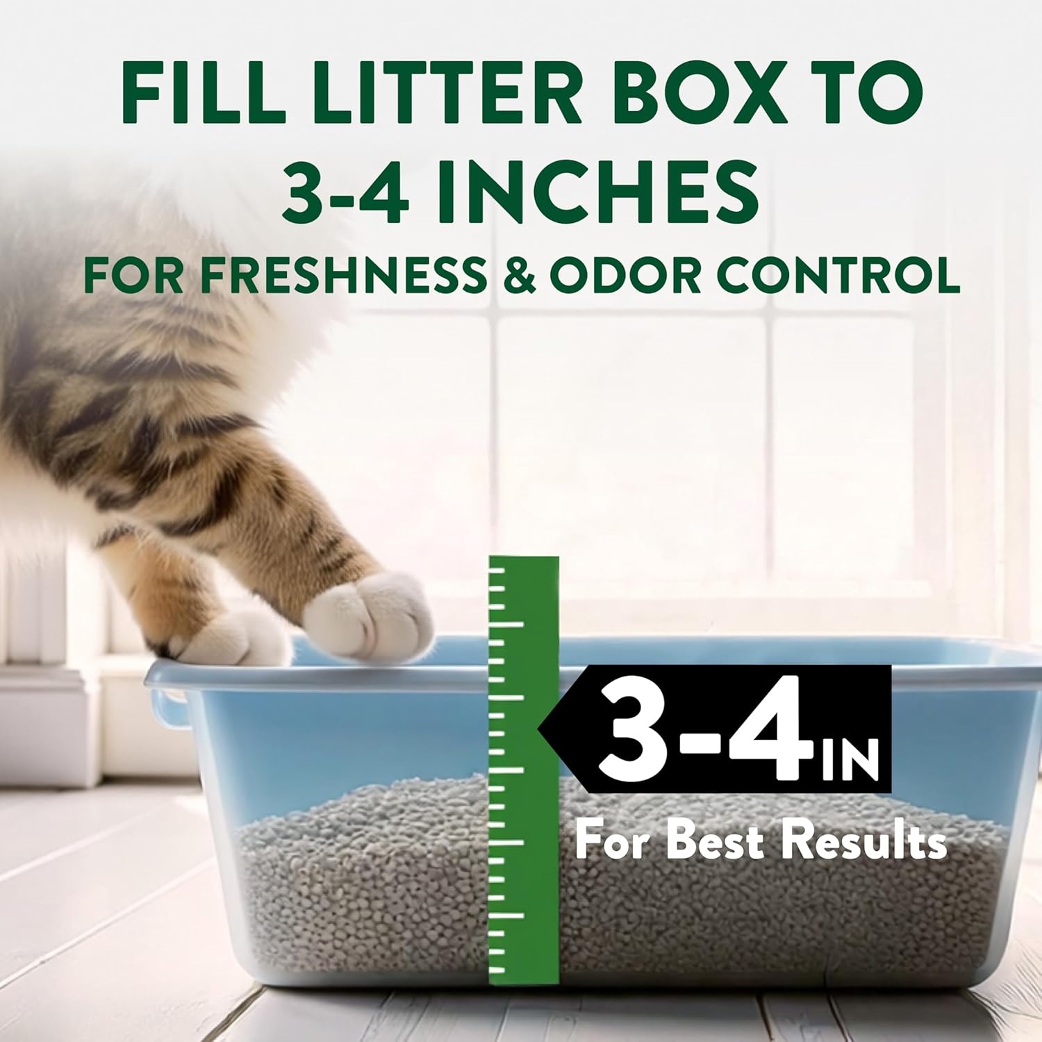 image:imageARM amp Hammer Plant Power Lightweight PlantBased Clumping Cat Litter for MultiCat Homes 14Day Odor Control Highly Absorbent Natural Grain Formula Unscented 15 Lbs