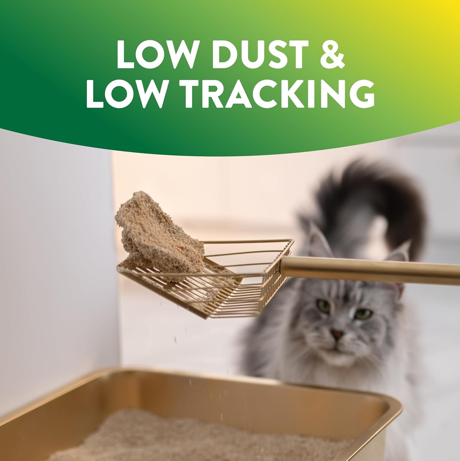 image:imageARM amp Hammer Plant Power Lightweight PlantBased Clumping Cat Litter for MultiCat Homes 14Day Odor Control Highly Absorbent Natural Grain Formula Unscented 15 Lbs