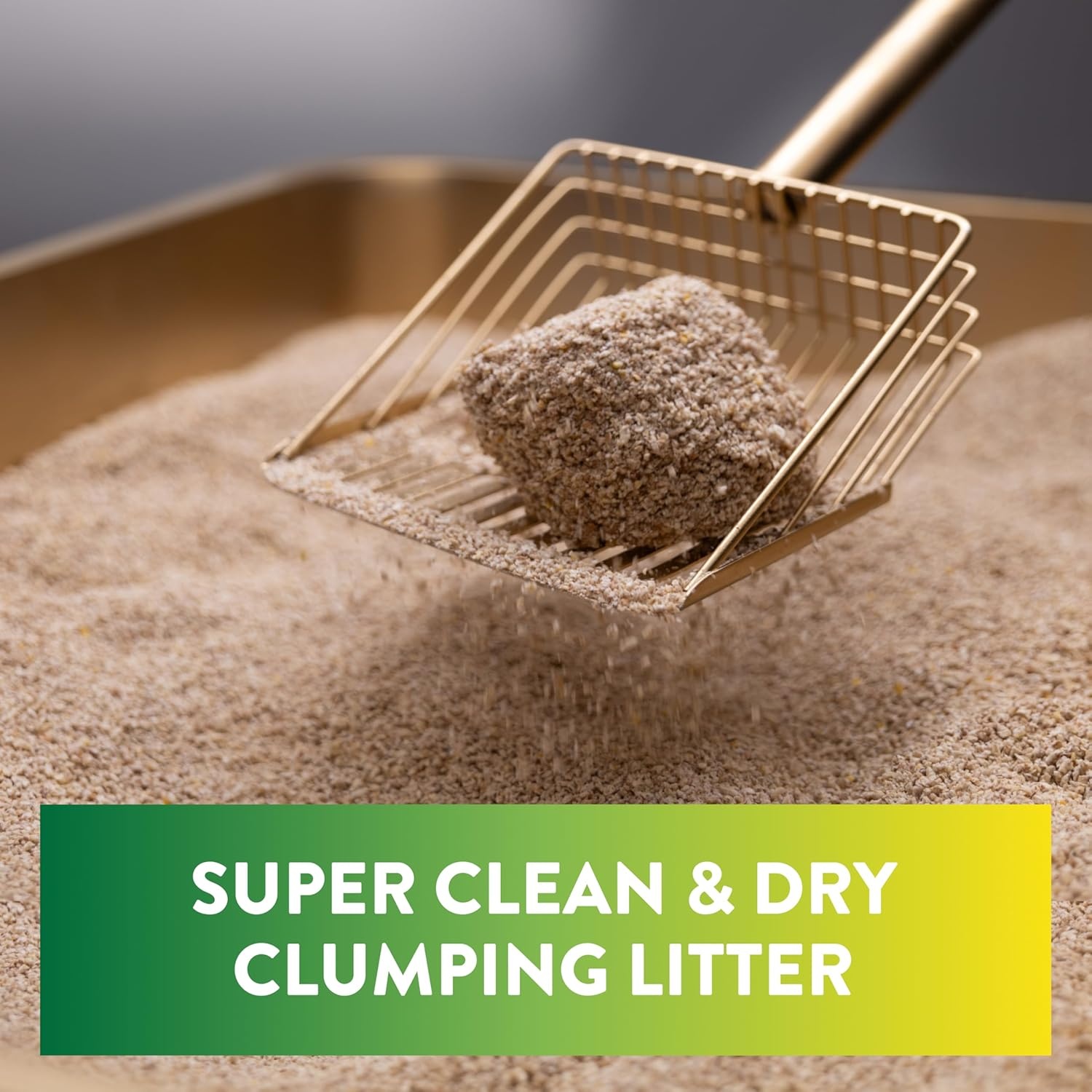 image:imageARM amp Hammer Plant Power Lightweight PlantBased Clumping Cat Litter for MultiCat Homes 14Day Odor Control Highly Absorbent Natural Grain Formula Unscented 15 Lbs