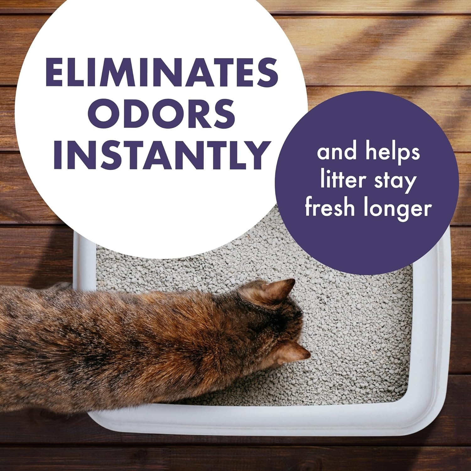 image:imageArm amp Hammer Forever Fresh Cat Litter Deodorizer Wild Lavender Essential Oils Baking Soda Odor Neutralizer 30 oz Pack of 6 Packaging May VaryForever Fresh