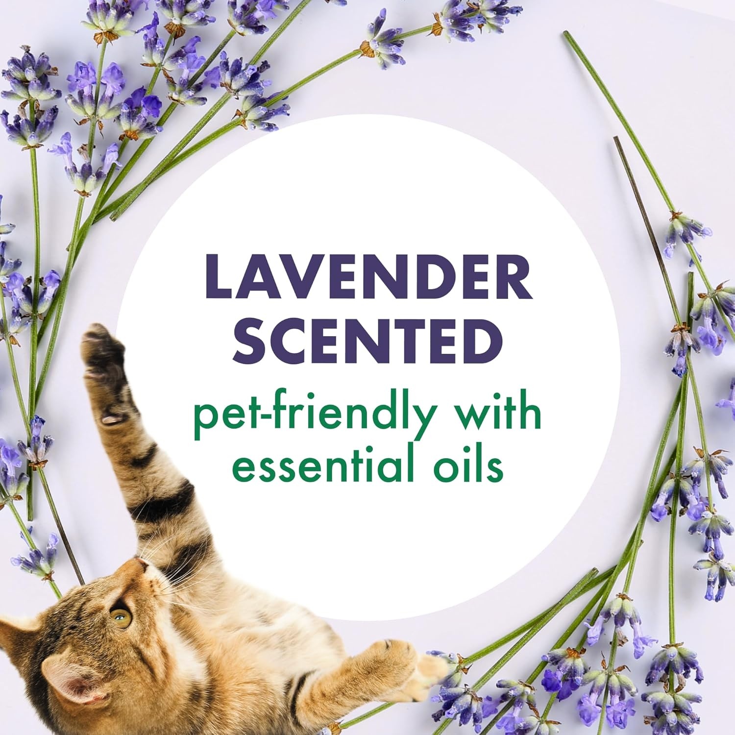 image:imageArm amp Hammer Forever Fresh Cat Litter Deodorizer Wild Lavender Essential Oils Baking Soda Odor Neutralizer 30 oz Pack of 6 Packaging May VaryForever Fresh