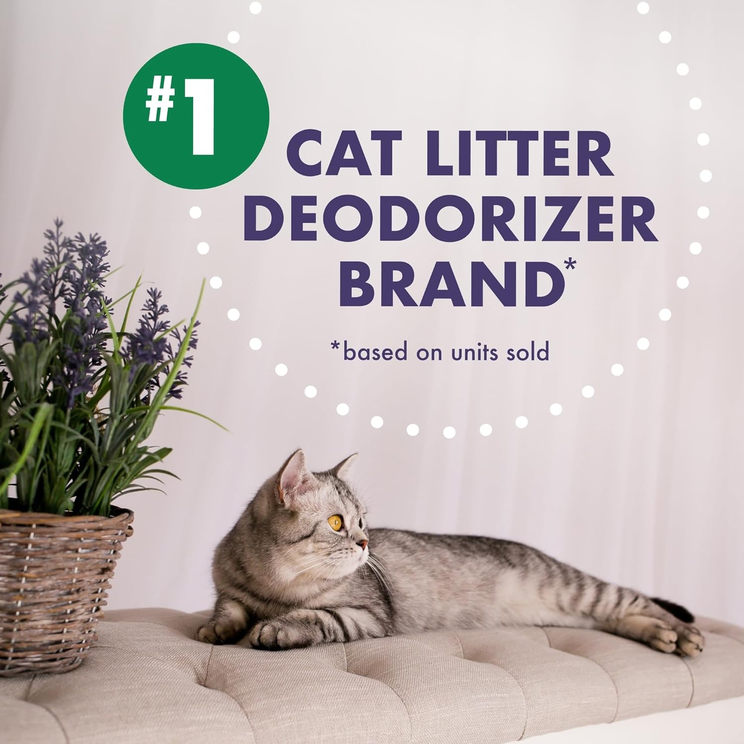 image:imageArm amp Hammer Forever Fresh Cat Litter Deodorizer Wild Lavender Essential Oils Baking Soda Odor Neutralizer 30 oz Pack of 6 Packaging May VaryForever Fresh