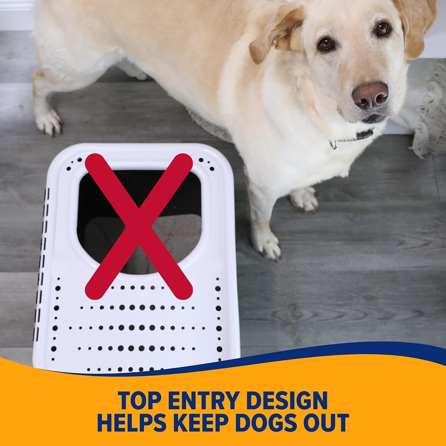 image:imageArm amp Hammer Premium Top Entry Litter Box with Filter to Clean Paws and Microban Made in USA