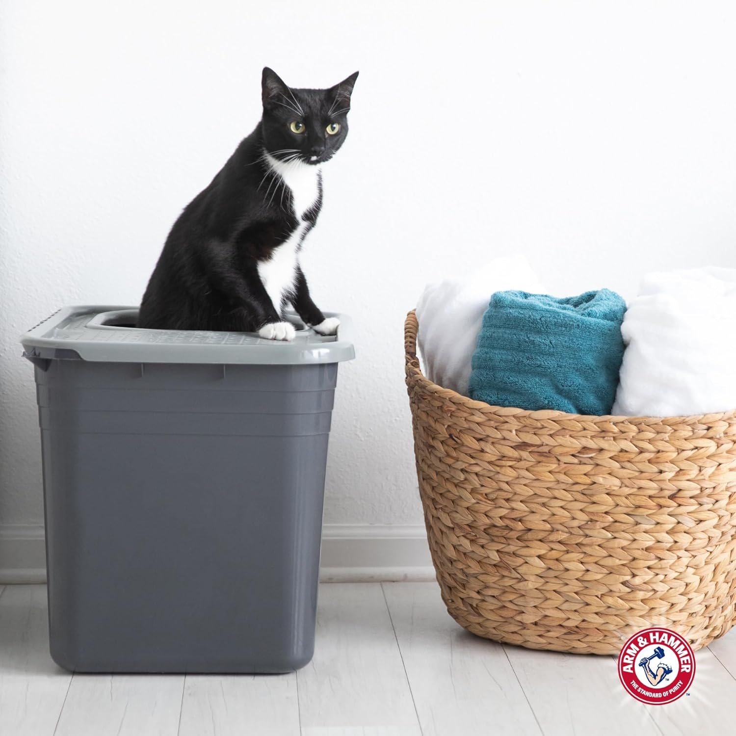image:imageArm amp Hammer Premium Top Entry Litter Box with Filter to Clean Paws and Microban Made in USA
