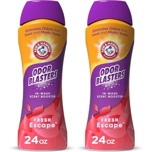ARM & HAMMER Odor Blasters In-Wash Scent Booster, Laundry Scent Booster Fresh Escape scent, 24 Oz(24 Ounce (Pack of 2))