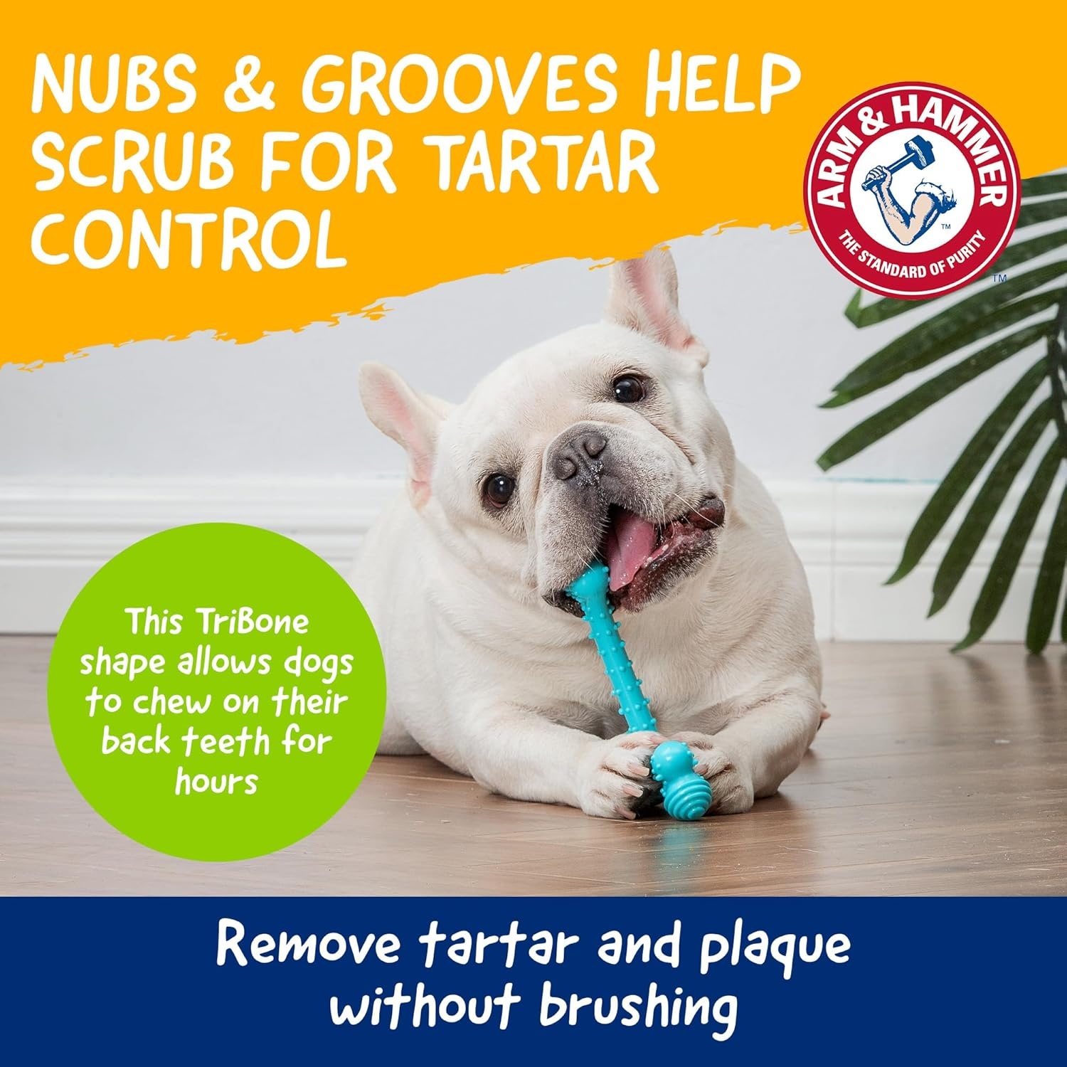image:imageArm amp Hammer Nubbies TBone Dental Chew Toy Peanut Butter Flavor Textured Toy Helps Clean Teeth Supports Oral Care for Dogs Up to 35 Lbs 24 Pack NonEdible Supervised Daily Chewing at HomeBlue TBone