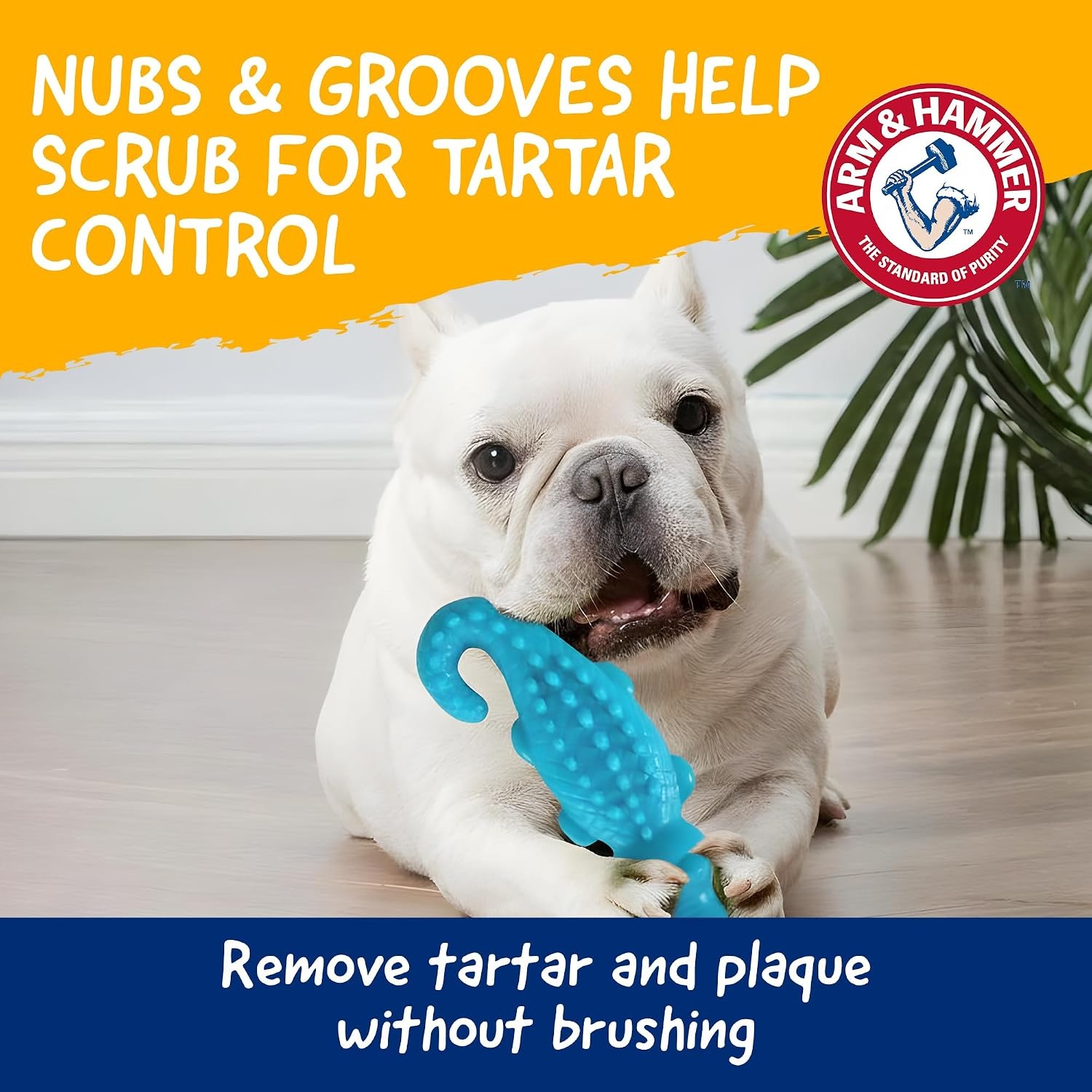 image:imageArm amp Hammer Nubbies TBone Dental Chew Toy Peanut Butter Flavor Textured Toy Helps Clean Teeth Supports Oral Care for Dogs Up to 35 Lbs 24 Pack NonEdible Supervised Daily Chewing at HomeBlue Gator
