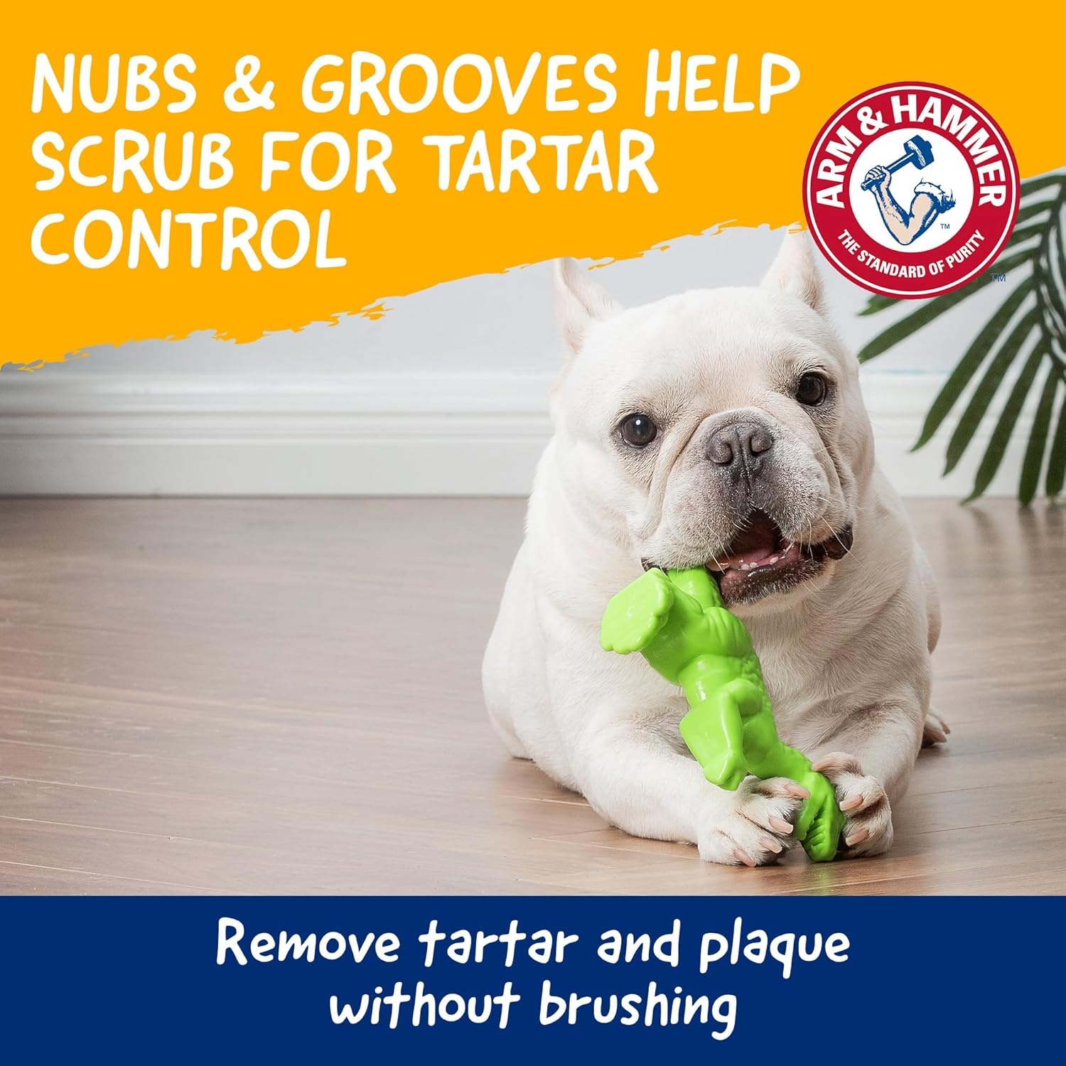 image:imageArm amp Hammer Nubbies TBone Dental Chew Toy Peanut Butter Flavor Textured Toy Helps Clean Teeth Supports Oral Care for Dogs Up to 35 Lbs 24 Pack NonEdible Supervised Daily Chewing at HomeGreen TRex