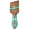 Paintbrush